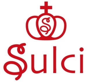 Sulci02